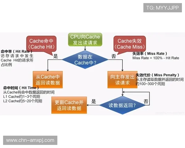 澳门新京注册流程优化建议，帮助用户节省时间提升注册效率