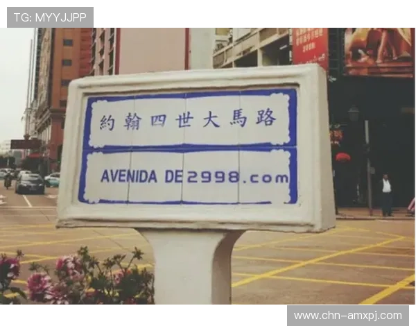 澳门新葡京手机官方地址官方入口官方最新版本，确保用户安全顺畅登录体验