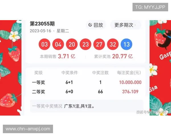 澳门开奖手机网址免费注册入口，轻松领取丰富彩金和专属优惠活动